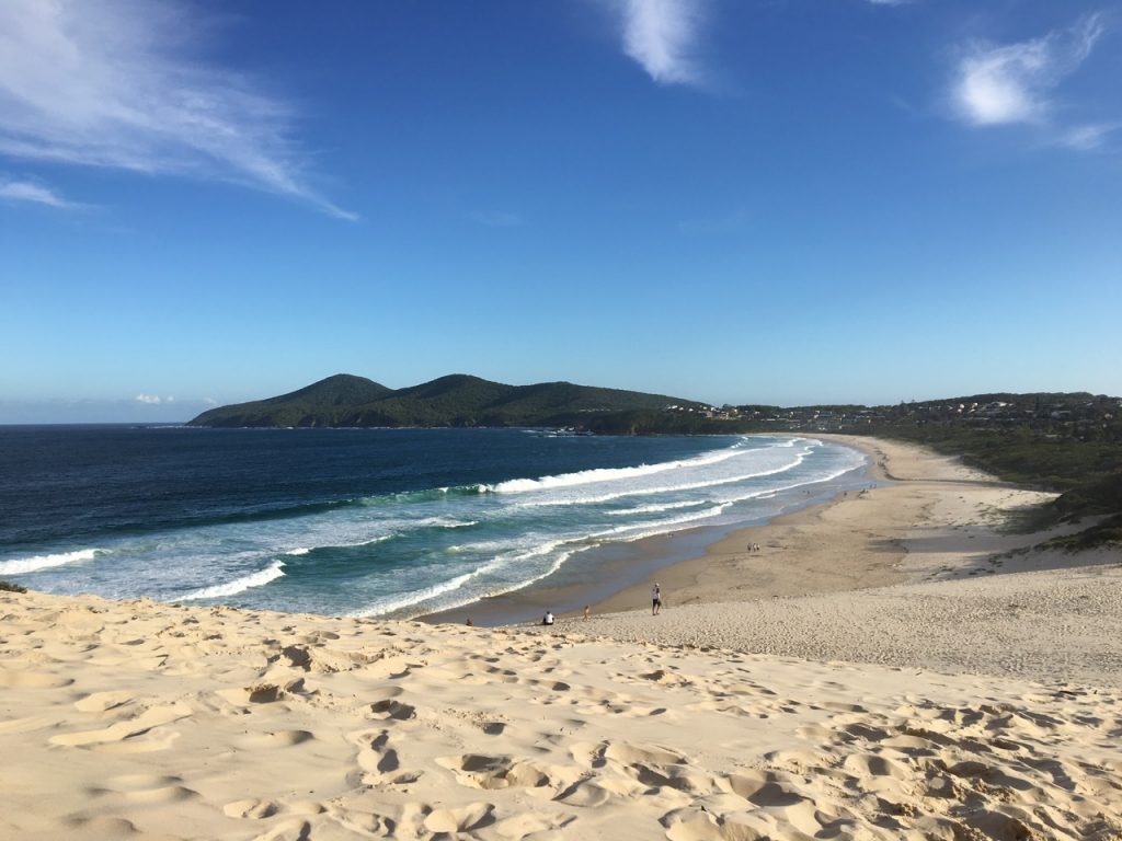 Forster's coast has become very special after our 4th visit to the home of friend Marilyn.