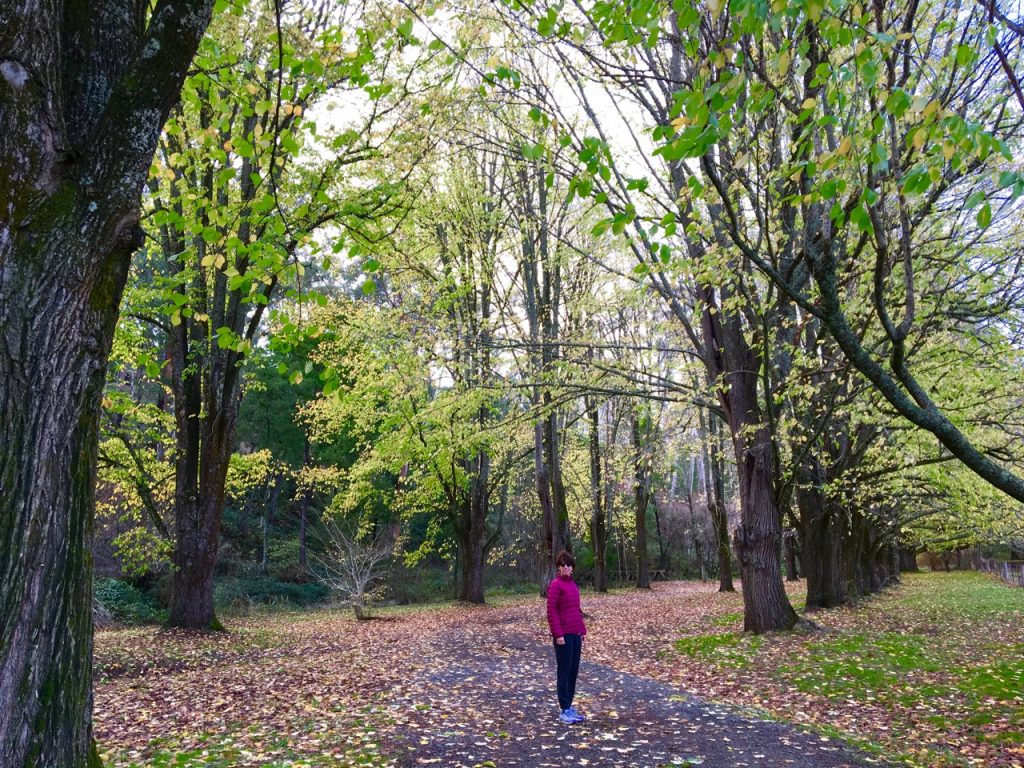 Autumn leaves were still showing off as we followed this path to the mineral springs.