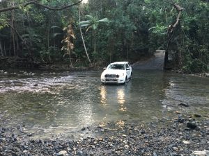Emergen Creek