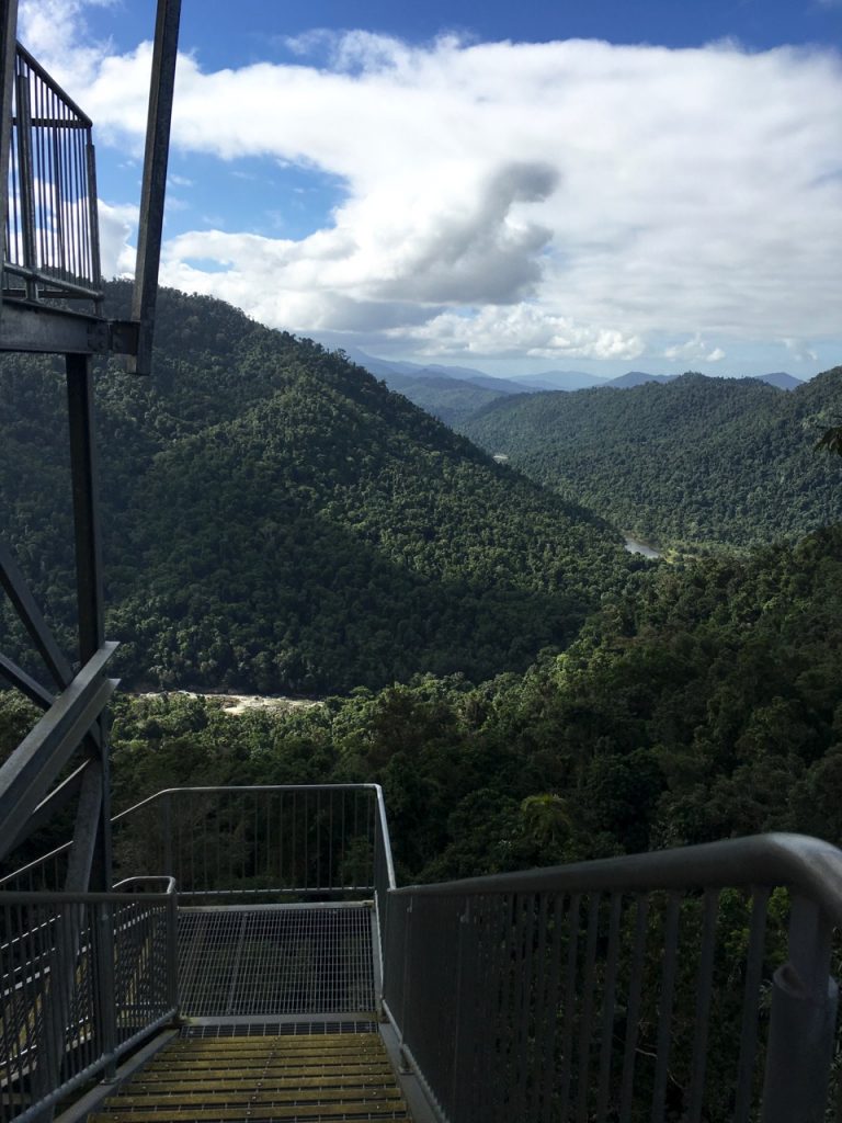 Mamu Tropical Rainforest canopy