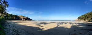 Cherry Tree Bay