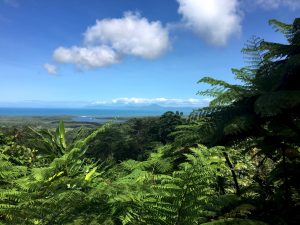 Looking out at the mouth of the Daintree River.