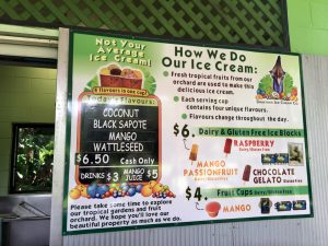 Daintree Ice Cream is made on the premises from their orchards right there on the property. The day we stopped in they were serving 4 scoops in a cup including coconut, black sapore (tastes like chocolate), mango and wattleseed (a nutty flavor and my favorite).
