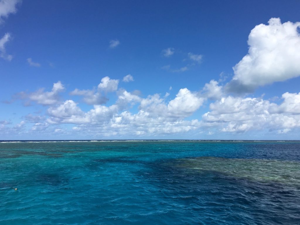 We snorkeled at 3 different sites. At the first the reef was colourless and lifeless. But the next was better and the fish were more interesting as well. The last site was one coral head that was surrounded by deep water.