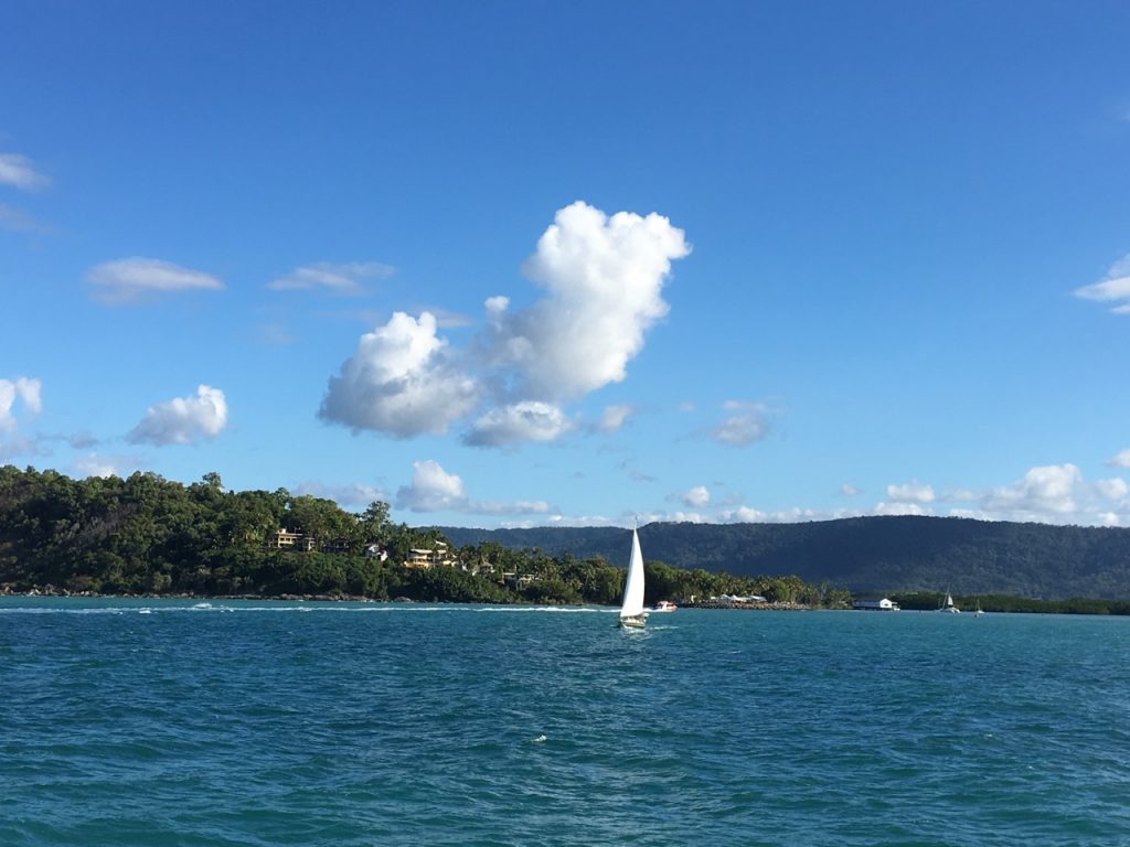 Returning to The Port. The trip was great, the boat and crew were the best, but the reef was showing lack of care.