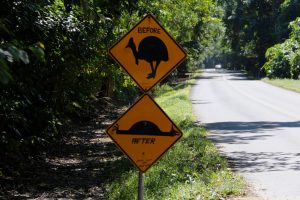 Beware of the Cassowary!