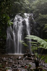 Ellinjaa Falls was one of the harder ones to reach as the path was muddy and steep.