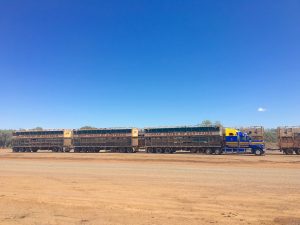 Road train with 3 "trains".