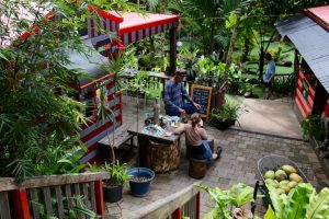 Kuranda Markets