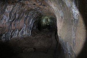 The bat cave
