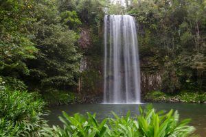 Millaa Millaa Falls (and my finger didn't get stuck on the keyboard) in their glory.