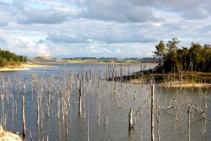 Lake Tinaroo is very low this year. Not sure how that can be, it rained most of the time we were there.