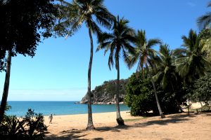 Radical Bay was a great swimming spot, far from the madding crowd.