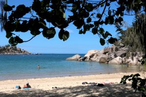 Florence Bay is supposed to be one of the better snorkeling locations but we were not terribly impressed.