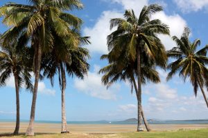 We drove through Bowen to see if it was worth a longer stay. There was an earthquake there a few months ago but we saw no signs of it. 