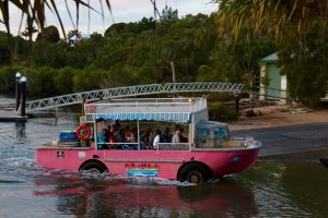 The Larc tours are taken with an amphibious vehicle.