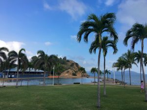 The Rockpool is the safe place to swim in Townsville, protected from the menacing crocodiles and stingers.