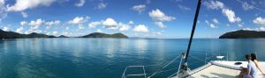 The first morning we woke up to utter calm except for a few turtles bobbing about.