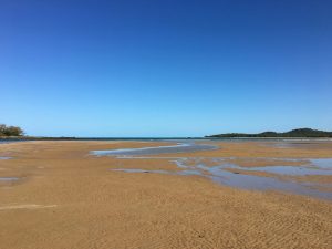 Cape Palmerston beach at low tide.