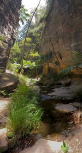 Ward's Canyon
