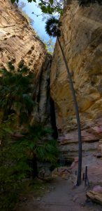 wards canyon
