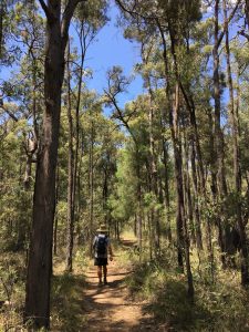 After a solid climb up 300 metres of steps we were rewarded with flat top of the plateau. 